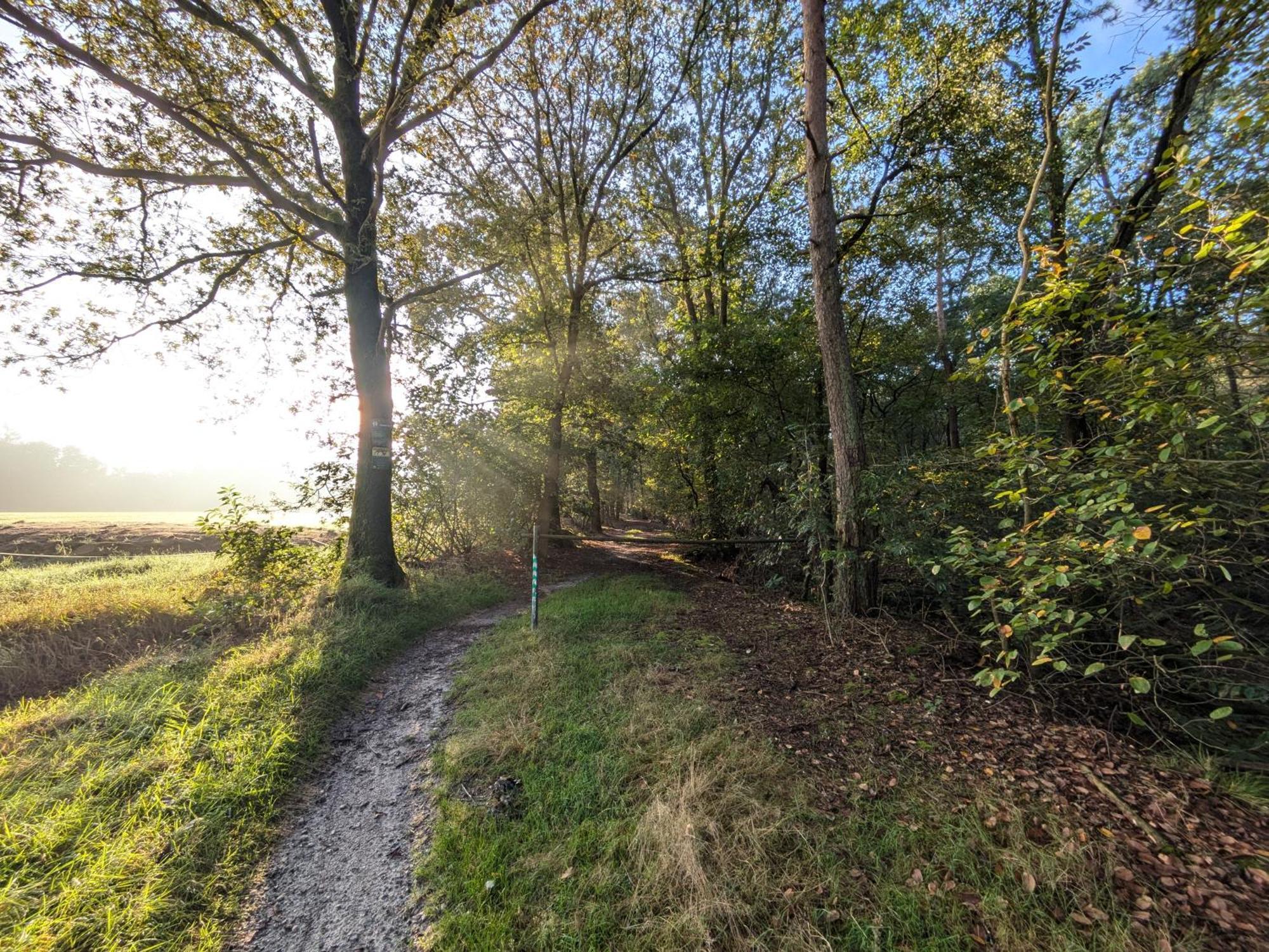 De Groene Weelde Haarle