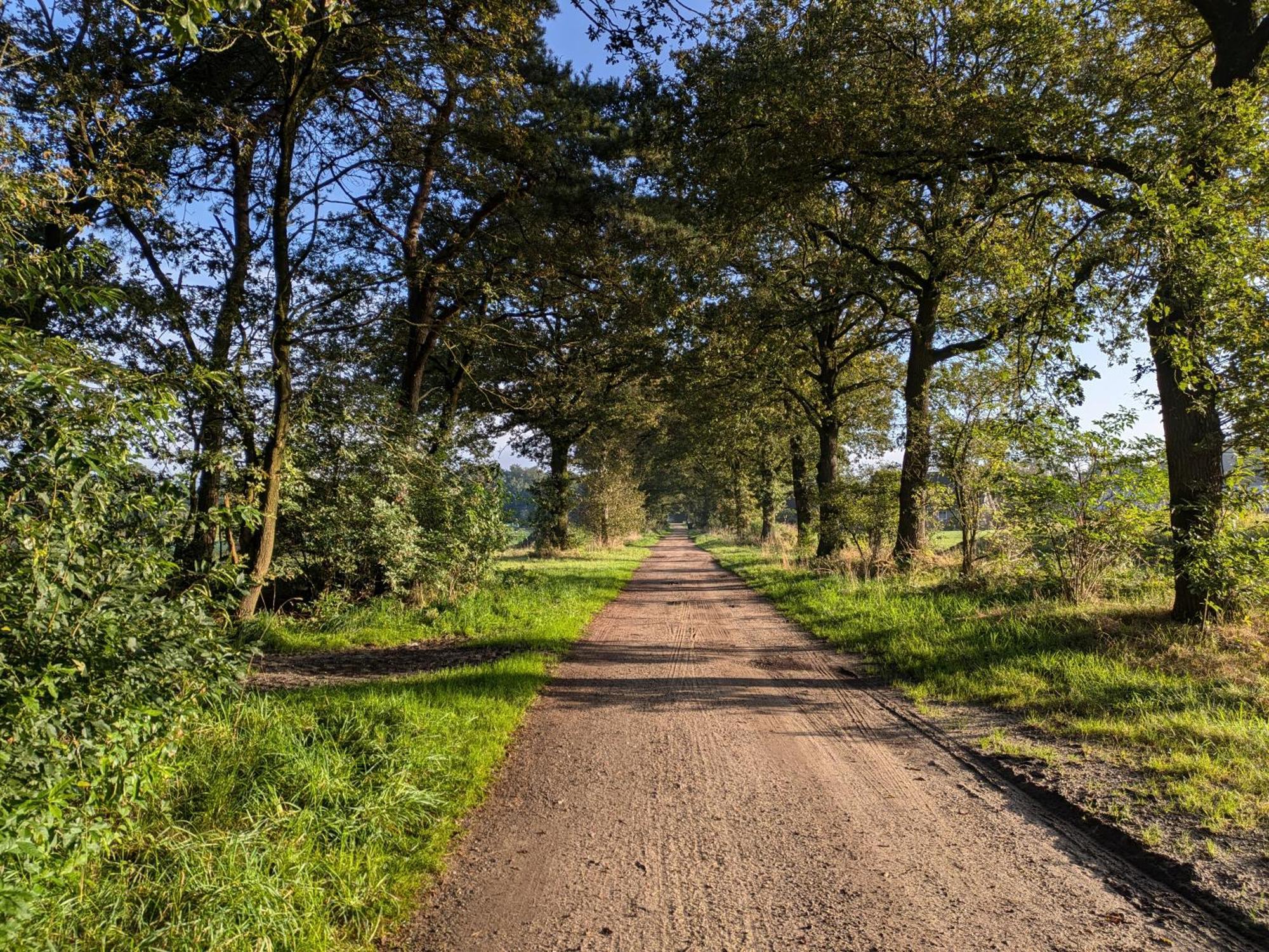 De Groene Weelde Chalet Haarle